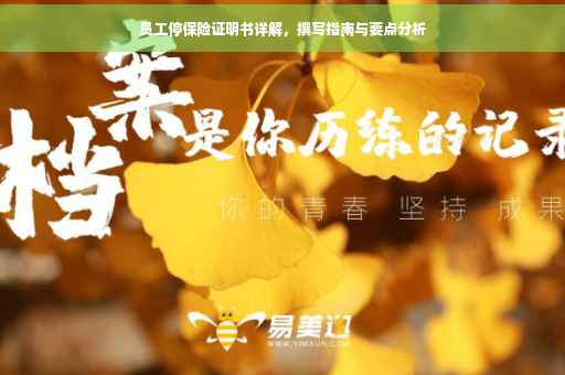 员工停保险证明书详解，撰写指南与要点分析