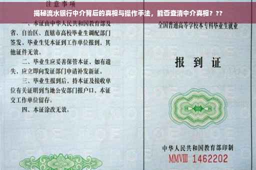 揭秘流水银行中介背后的真相与操作手法，能否查清中介真相？??