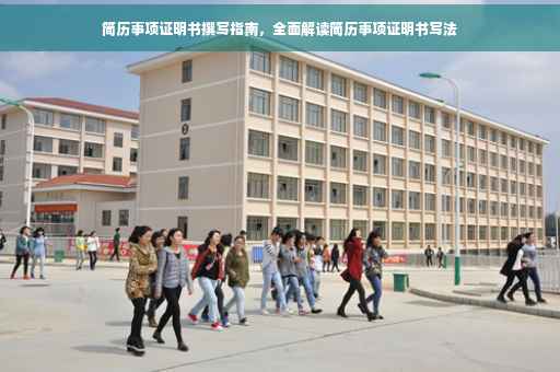简历事项证明书撰写指南，全面解读简历事项证明书写法