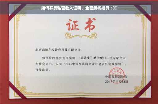 如何开具私营收入证明，全面解析指导 ?⚡️