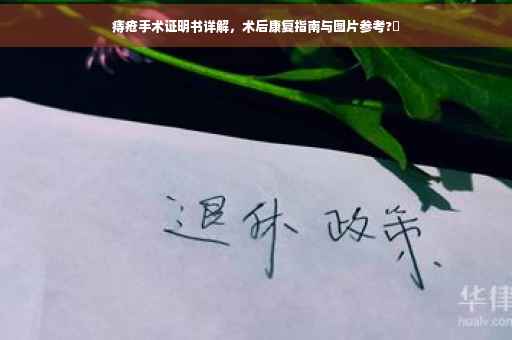 痔疮手术证明书详解，术后康复指南与图片参考?✨