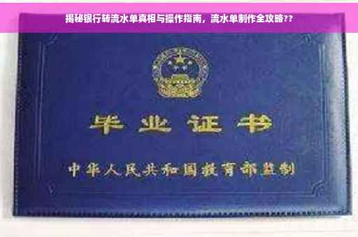揭秘银行转流水单真相与操作指南，流水单制作全攻略??