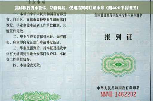 揭秘银行流水软件，功能详解、使用指南与注意事项（附APP下载链接）