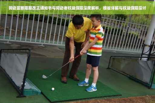 劳动监察限期改正通知书与劳动者权益保障深度解析，模板详解与权益保障探讨