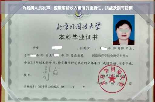 为残疾人员发声，深度解析收入证明的重要性、挑战及撰写指南