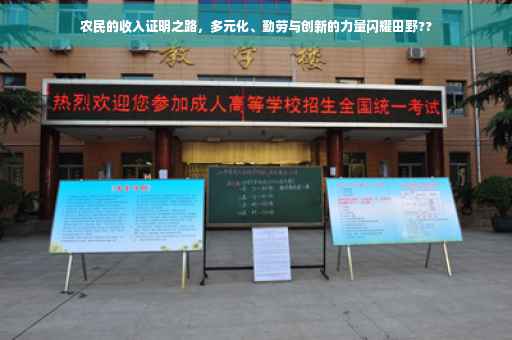 农民的收入证明之路，多元化、勤劳与创新的力量闪耀田野??