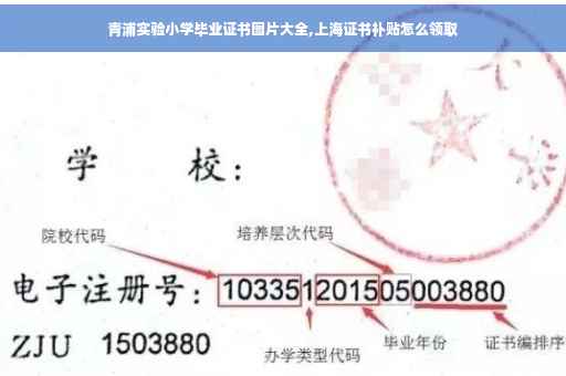 青浦实验小学毕业证书图片大全,上海证书补贴怎么领取