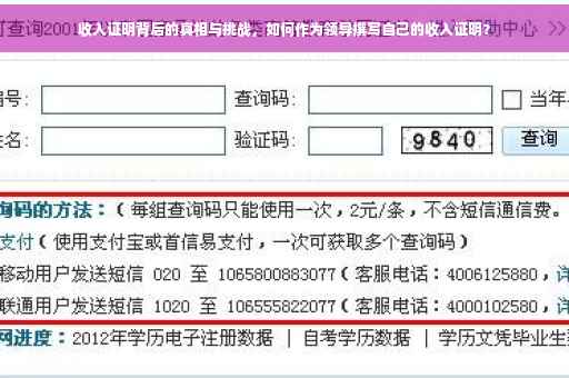 收入证明背后的真相与挑战，如何作为领导撰写自己的收入证明？