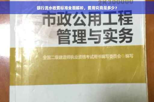 银行流水收费标准全面解析，费用究竟是多少？