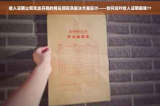 收入证明公司无法开具的背后原因及解决方案探讨——如何应对收入证明困境??