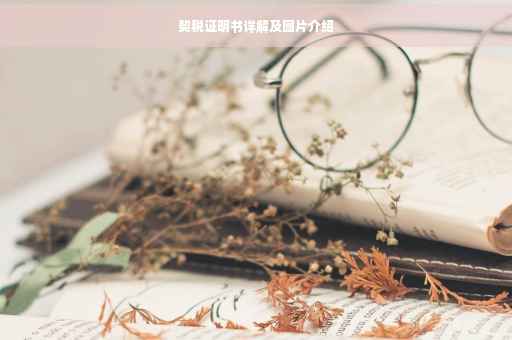 契税证明书详解及图片介绍