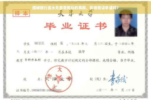 揭秘银行流水无盖章背后的真相，影响签证申请吗？