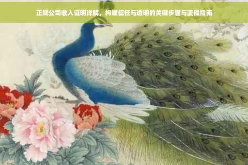 正规公司收入证明详解，构建信任与透明的关键步骤与流程指南