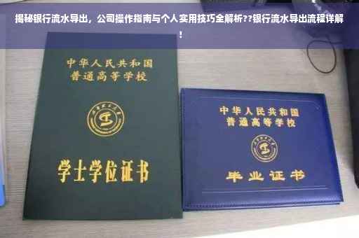 揭秘银行流水导出，公司操作指南与个人实用技巧全解析??银行流水导出流程详解！