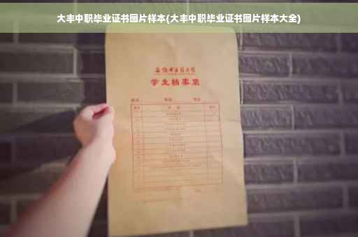 大丰中职毕业证书图片样本(大丰中职毕业证书图片样本大全)