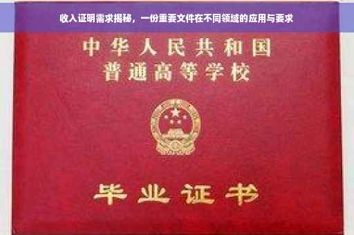 收入证明需求揭秘，一份重要文件在不同领域的应用与要求