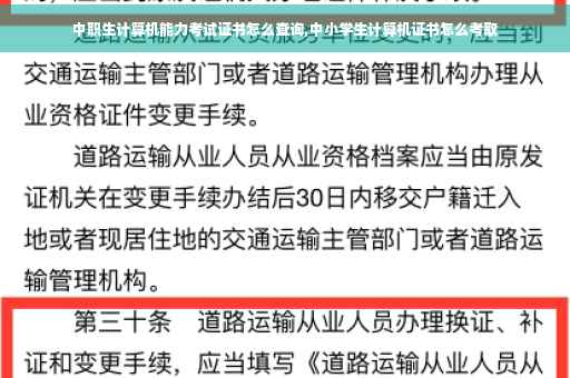 中职生计算机能力考试证书怎么查询,中小学生计算机证书怎么考取