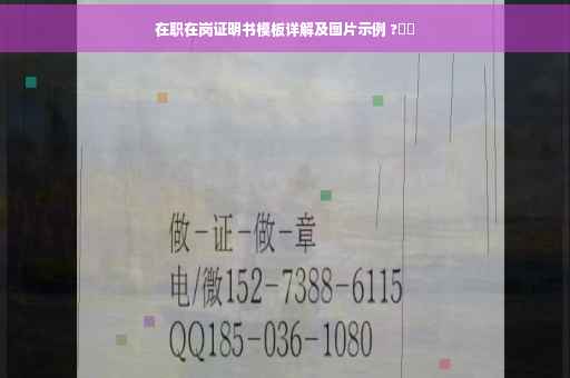 在职在岗证明书模板详解及图片示例 ?⚡️