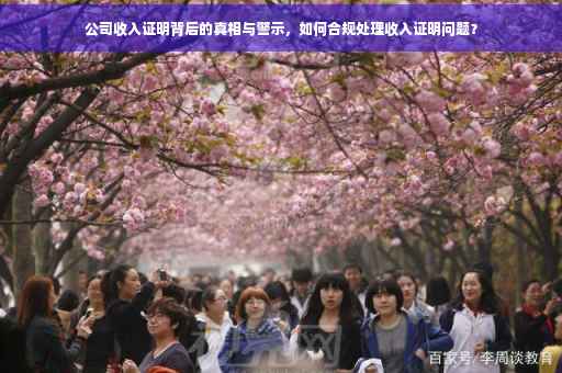 公司收入证明背后的真相与警示，如何合规处理收入证明问题？