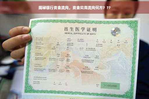 揭秘银行资金流向，资金究竟流向何方？??