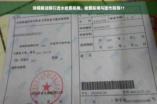 详细解读银行流水收费指南，收费标准与操作指导??