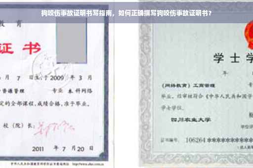 狗咬伤事故证明书写指南，如何正确撰写狗咬伤事故证明书？