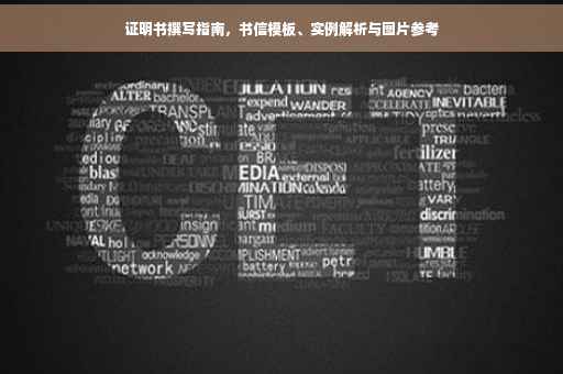 证明书撰写指南，书信模板、实例解析与图片参考