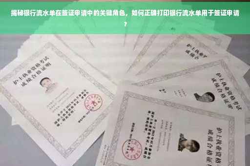 揭秘银行流水单在签证申请中的关键角色，如何正确打印银行流水单用于签证申请？