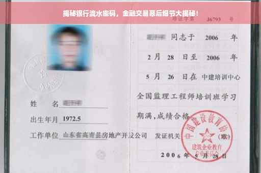 揭秘银行流水密码，金融交易幕后细节大揭秘！