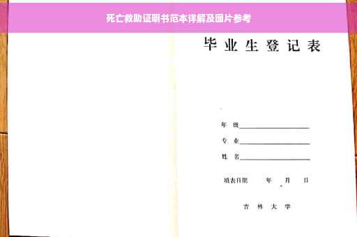 死亡救助证明书范本详解及图片参考