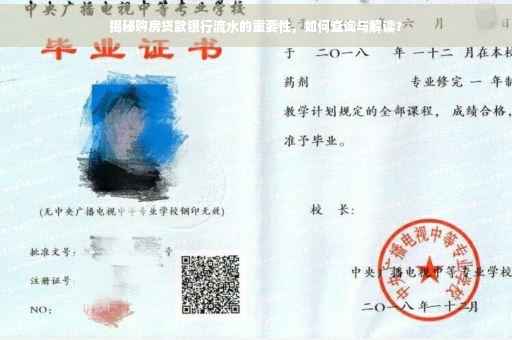 揭秘购房贷款银行流水的重要性，如何查询与解读？