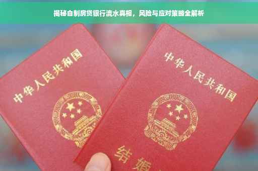 揭秘自制房贷银行流水真相，风险与应对策略全解析