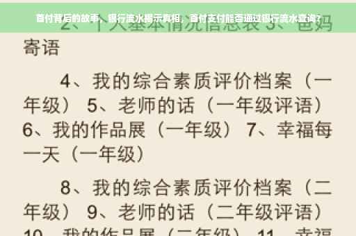 首付背后的故事，银行流水揭示真相，首付支付能否通过银行流水查询？