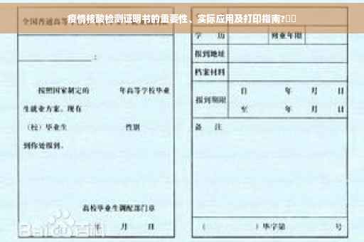 疫情核酸检测证明书的重要性、实际应用及打印指南?⚡️