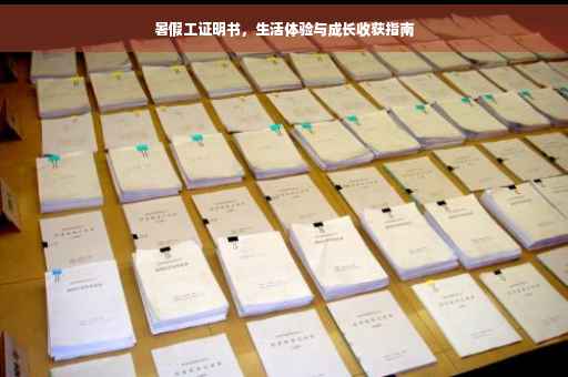 暑假工证明书，生活体验与成长收获指南