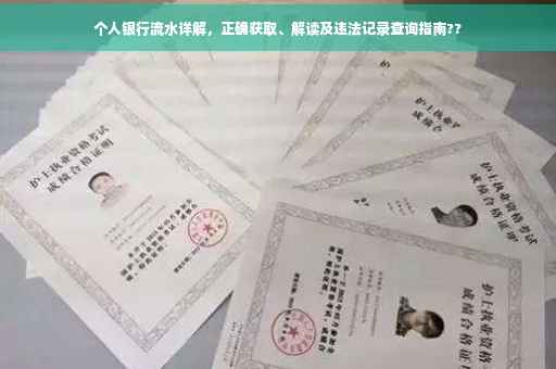 个人银行流水详解，正确获取、解读及违法记录查询指南??
