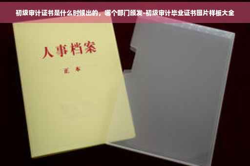 初级审计证书是什么时候出的，哪个部门颁发-初级审计毕业证书图片样板大全