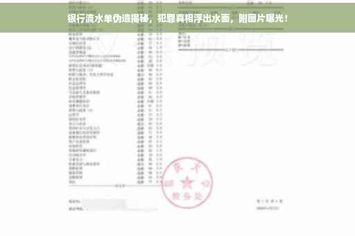 银行流水单伪造揭秘，犯罪真相浮出水面，附图片曝光！