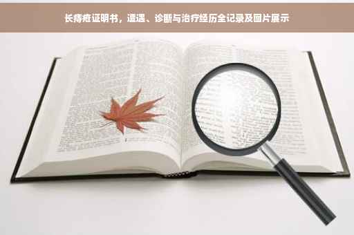 长痔疮证明书，遭遇、诊断与治疗经历全记录及图片展示