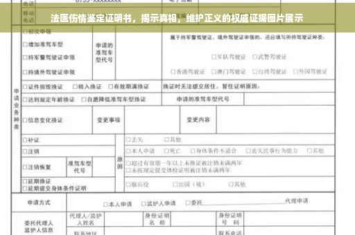 法医伤情鉴定证明书，揭示真相，维护正义的权威证据图片展示