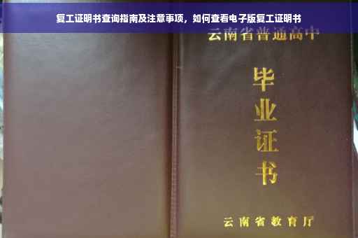复工证明书查询指南及注意事项，如何查看电子版复工证明书