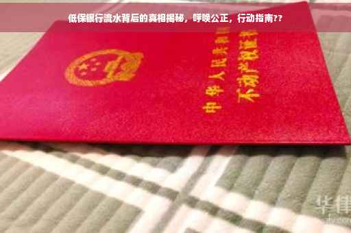 低保银行流水背后的真相揭秘，呼唤公正，行动指南??