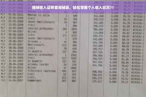 揭秘收入证明查询秘籍，轻松掌握个人收入状况??