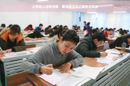 公司收入证明详解，要点标注与正确格式指南