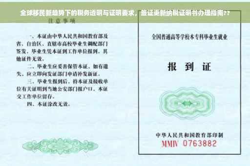 全球移民新趋势下的税务透明与证明要求，签证更新纳税证明书办理指南??