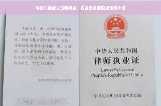 学校年度收入证明模板，权威财务概况揭示图片版