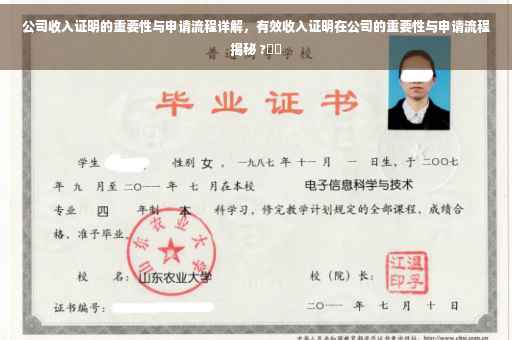公司收入证明的重要性与申请流程详解，有效收入证明在公司的重要性与申请流程揭秘 ?⚡️