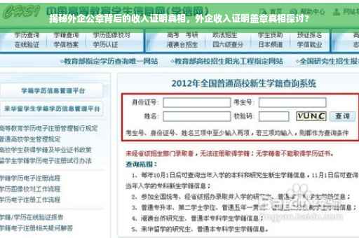 揭秘外企公章背后的收入证明真相，外企收入证明盖章真相探讨?