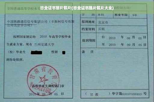 毕业证书图片照片(毕业证书图片照片大全)