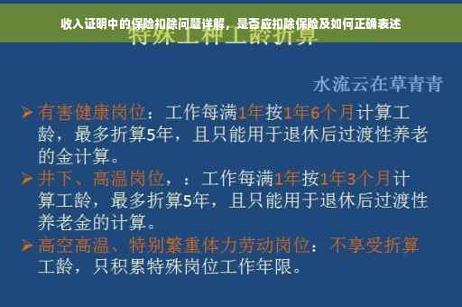 收入证明中的保险扣除问题详解，是否应扣除保险及如何正确表述